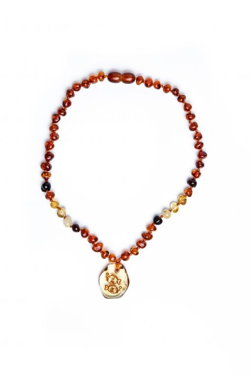 Teething necklace amber pendant pisces1