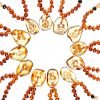Teething necklace amber pendant zodiac2