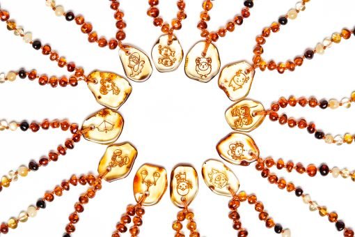 Teething necklace amber pendant zodiac2