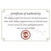 Genuine Baltic amber card EN