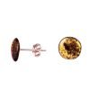 Amber earrings disk green