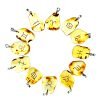 Amber pendants zodiac sign