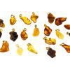Amber pendants multicolor